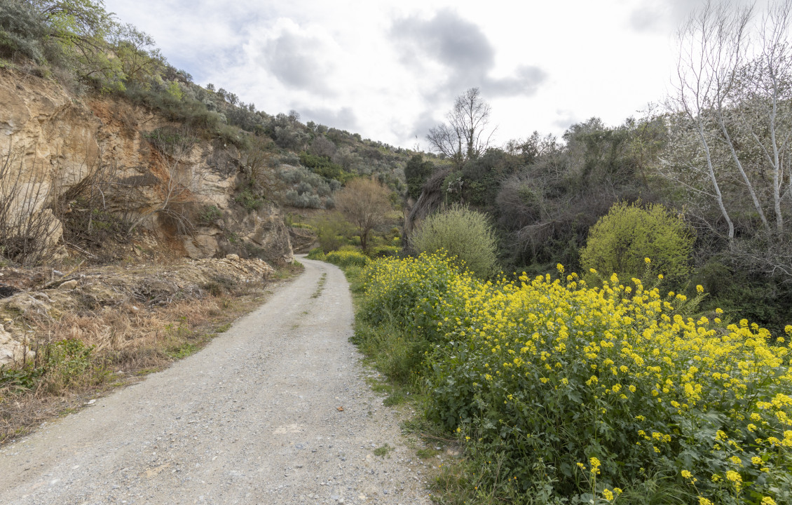 Venta - Naves - El Valle - Poligono 3, Parcela 155