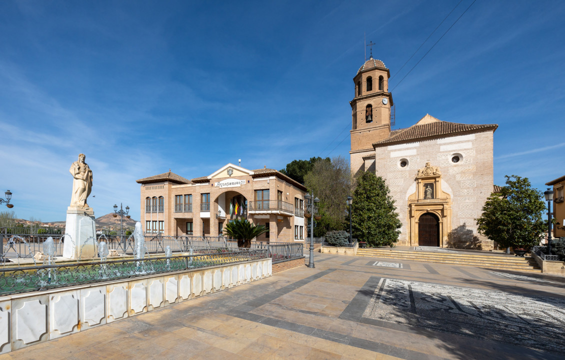 Venta - Casas o chalets - Alhendín - Calle Robles