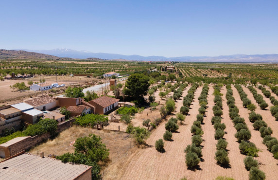 Venta - Casas o chalets - Baza - Calle las Viñas