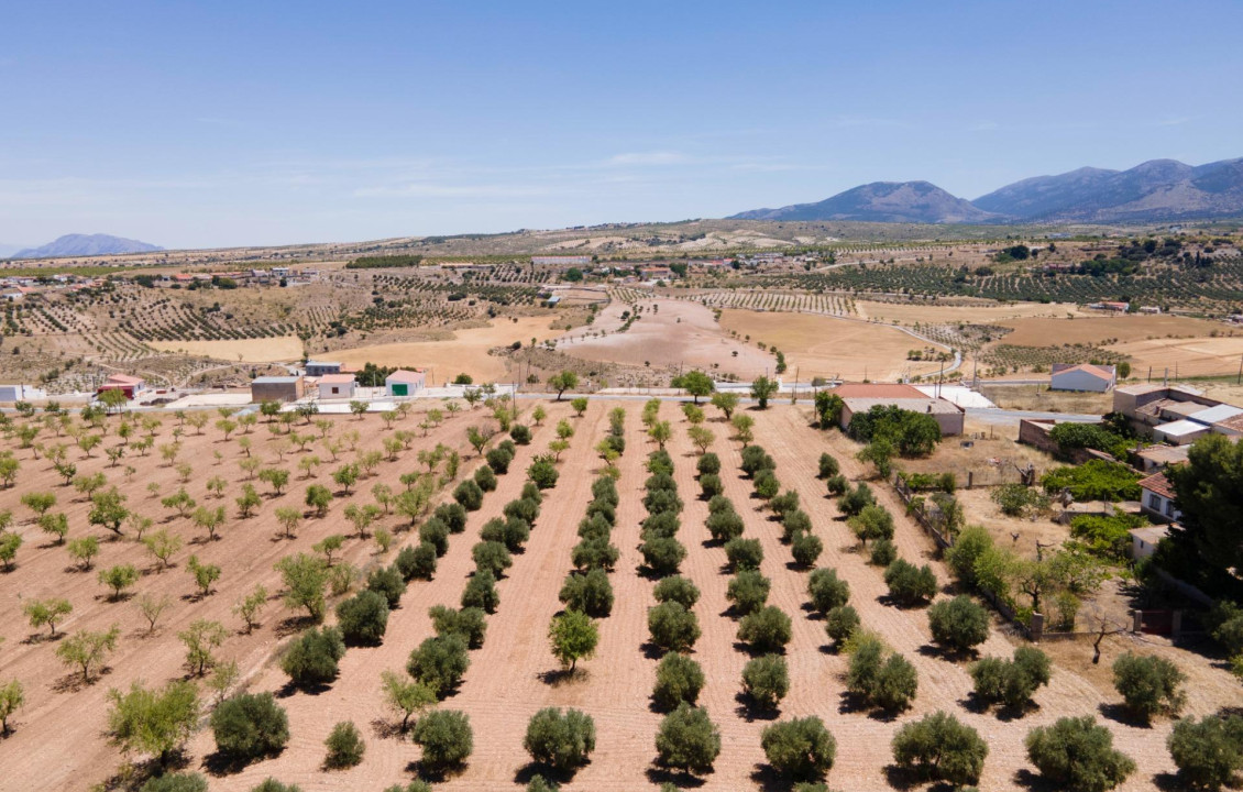 Venta - Casas o chalets - Baza - Calle las Viñas