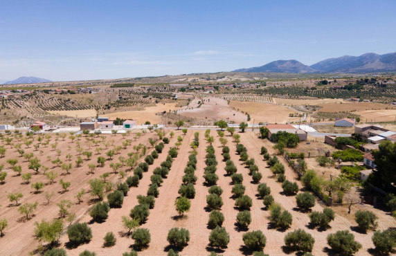 Venta - Casas o chalets - Baza - Calle las Viñas