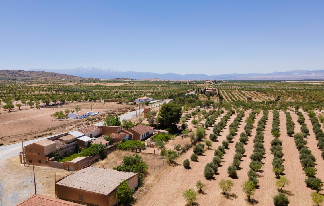 Venta - Casas o chalets - Baza - Calle las Viñas