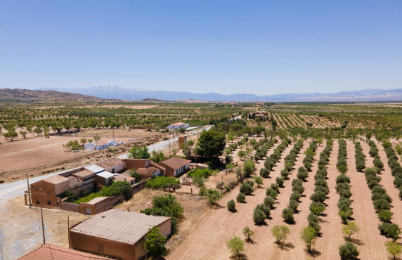 Venta - Casas o chalets - Baza - Calle las Viñas