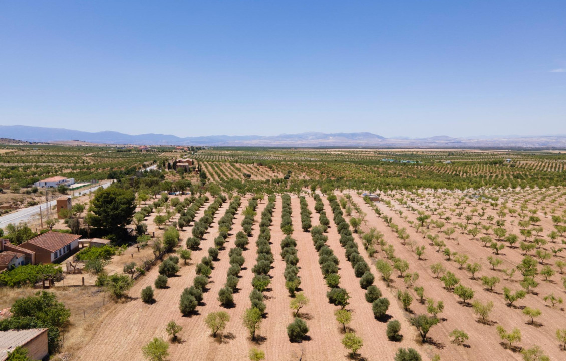 Venta - Casas o chalets - Baza - Calle las Viñas