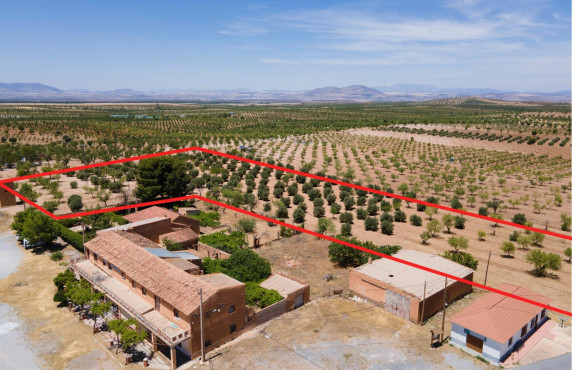 Venta - Casas o chalets - Baza - Calle las Viñas