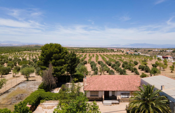 Venta - Casas o chalets - Baza - Calle las Viñas