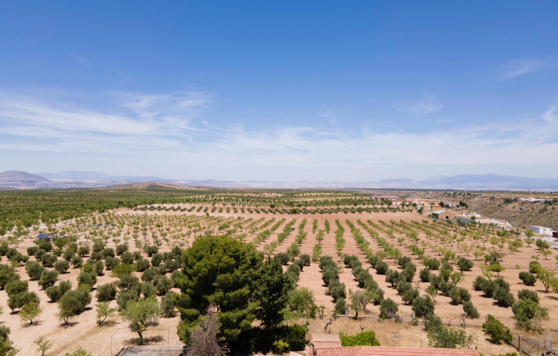 Venta - Casas o chalets - Baza - Calle las Viñas