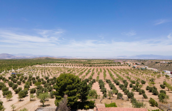 Venta - Casas o chalets - Baza - Calle las Viñas