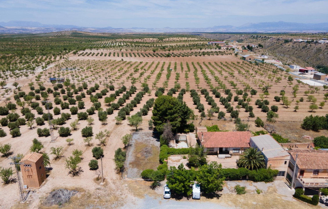 Venta - Casas o chalets - Baza - Calle las Viñas