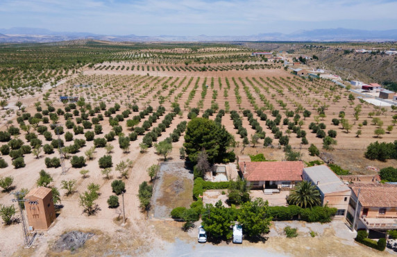 Venta - Casas o chalets - Baza - Calle las Viñas