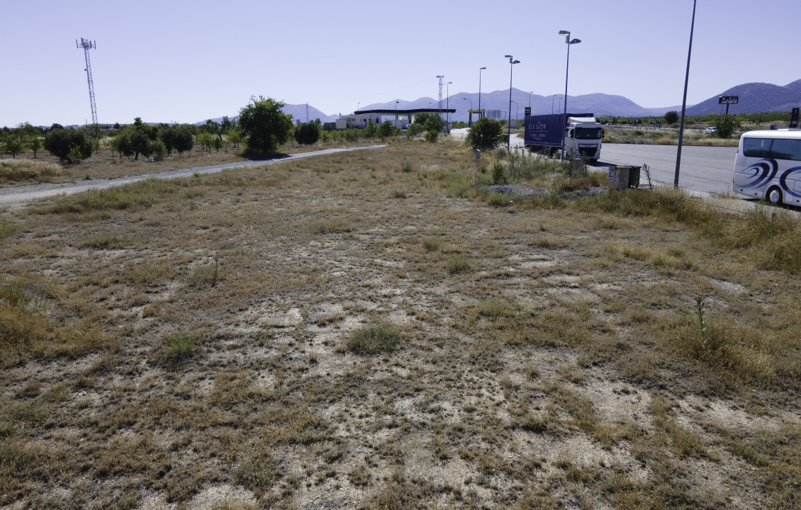 Venta - Fincas y solares - Baza - Carretera A-92, 8