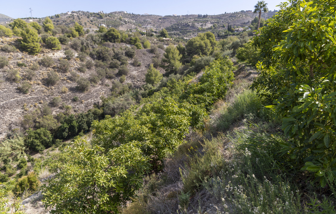 Venta - Casas o chalets - Jete - Polígono 3 Parcela 564 BARRANCO LA FIFA. JETE (GR