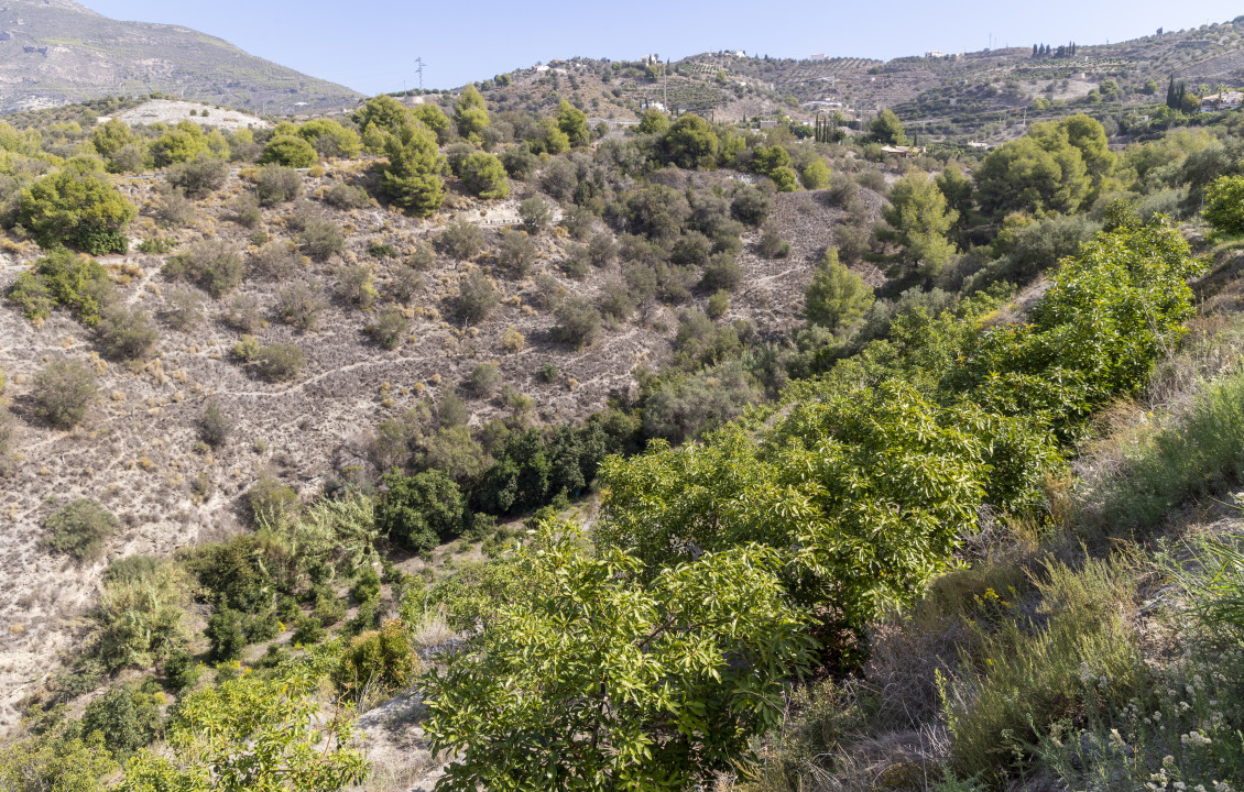 Venta - Casas o chalets - Jete - Polígono 3 Parcela 564 BARRANCO LA FIFA. JETE (GR