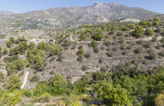 Venta - Casas o chalets - Jete - Polígono 3 Parcela 564 BARRANCO LA FIFA. JETE (GR