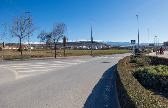 Venta - Fincas y solares - Pulianas - CAMINO HUERTA SAN ANTON