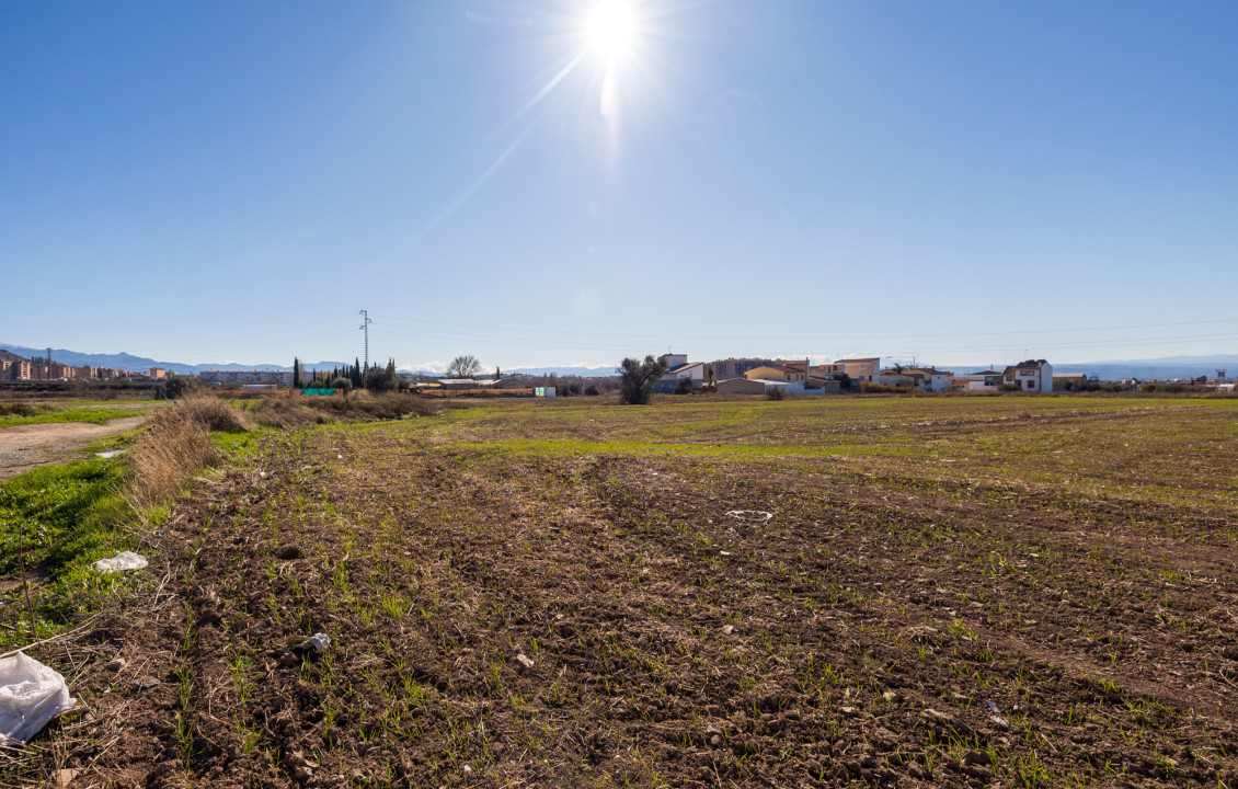 Venta - Fincas y solares - Pulianas - CAMINO HUERTA SAN ANTON