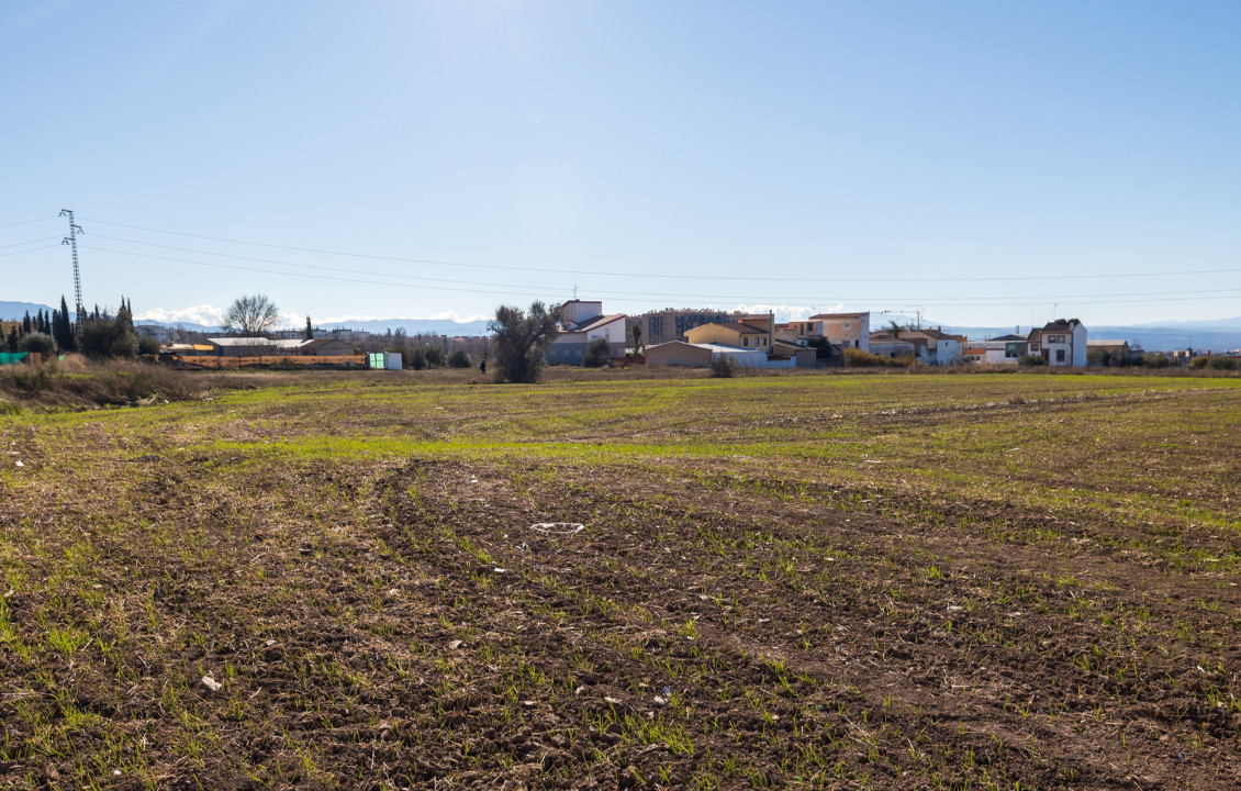 Venta - Fincas y solares - Pulianas - CAMINO HUERTA SAN ANTON