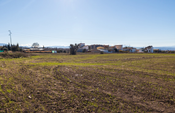 Venta - Fincas y solares - Pulianas - CAMINO HUERTA SAN ANTON