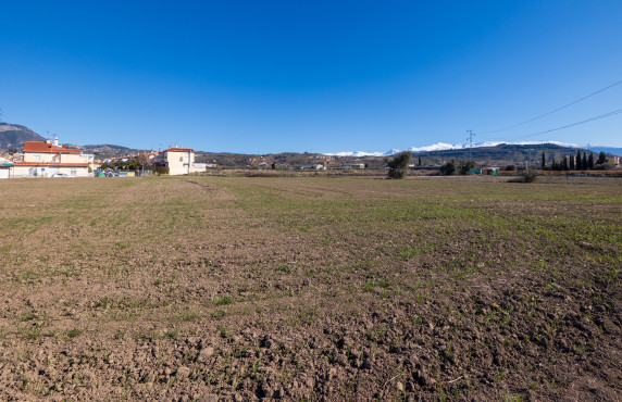 Venta - Fincas y solares - Pulianas - CAMINO HUERTA SAN ANTON