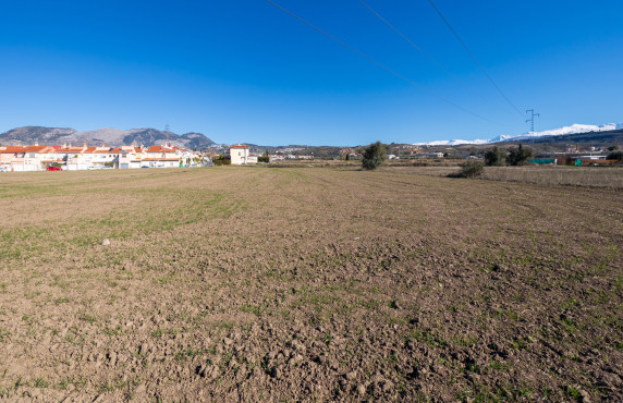 Venta - Fincas y solares - Pulianas - CAMINO HUERTA SAN ANTON