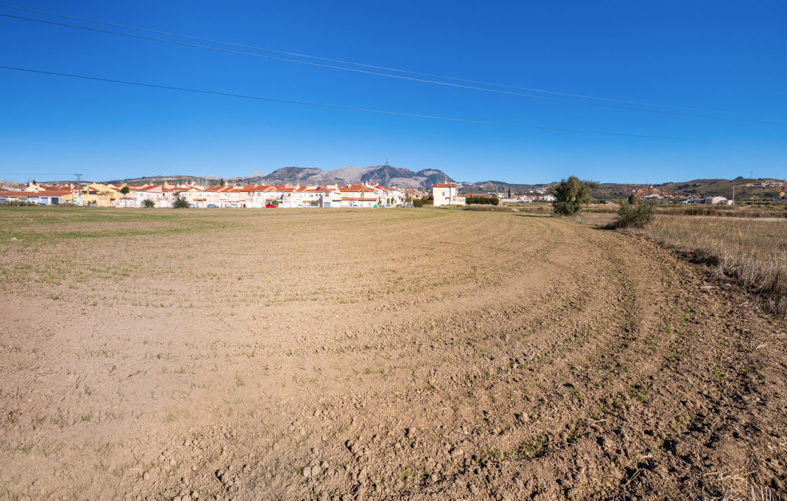 Venta - Fincas y solares - Pulianas - CAMINO HUERTA SAN ANTON