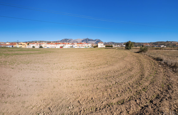 Venta - Fincas y solares - Pulianas - CAMINO HUERTA SAN ANTON