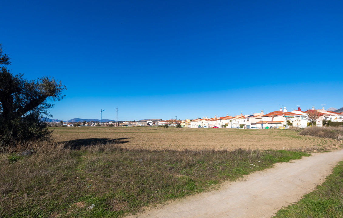 Venta - Fincas y solares - Pulianas - CAMINO HUERTA SAN ANTON