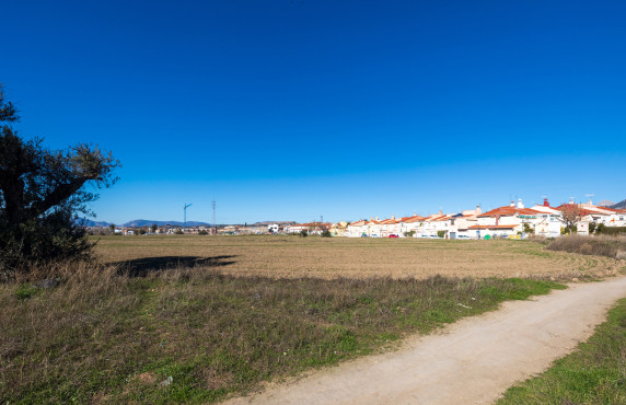 Venta - Fincas y solares - Pulianas - CAMINO HUERTA SAN ANTON