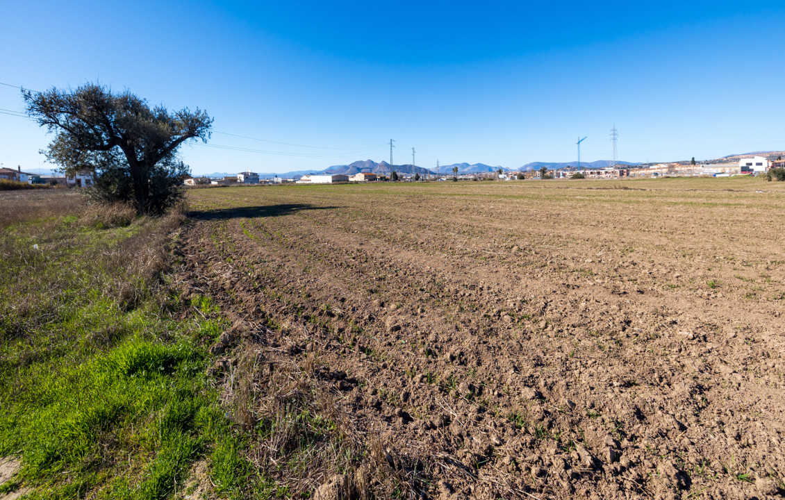 Venta - Fincas y solares - Pulianas - CAMINO HUERTA SAN ANTON