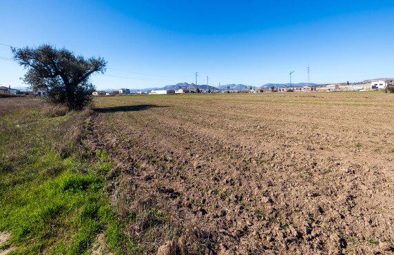 Venta - Fincas y solares - Pulianas - CAMINO HUERTA SAN ANTON