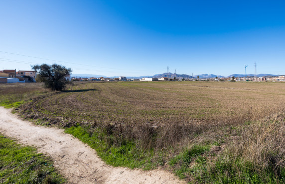 Venta - Fincas y solares - Pulianas - CAMINO HUERTA SAN ANTON