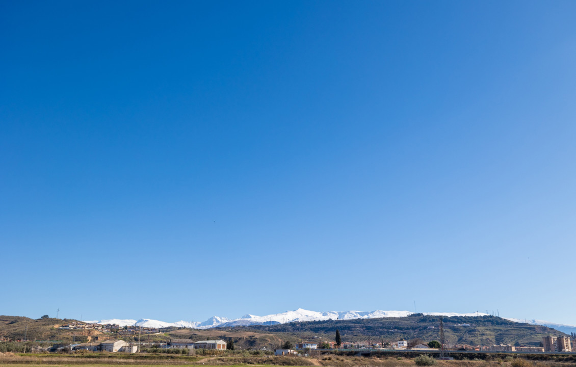 Venta - Fincas y solares - Pulianas - CAMINO HUERTA SAN ANTON