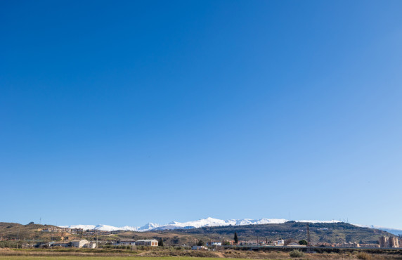 Venta - Fincas y solares - Pulianas - CAMINO HUERTA SAN ANTON