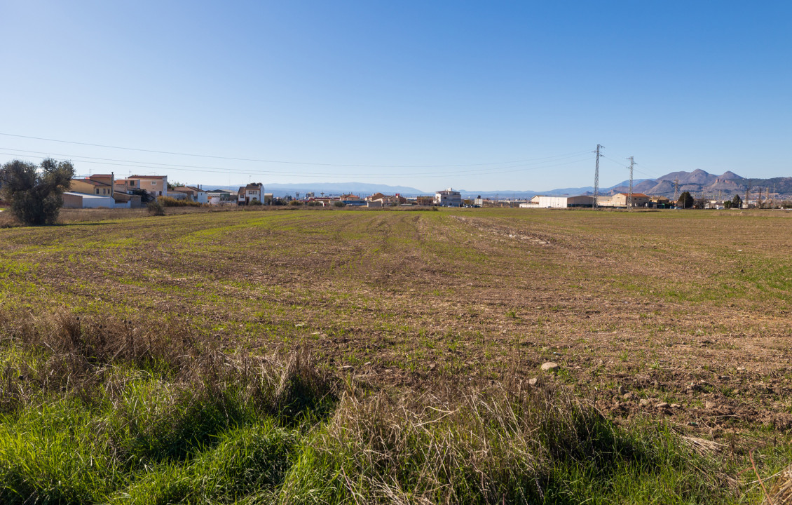 Venta - Fincas y solares - Pulianas - CAMINO HUERTA SAN ANTON