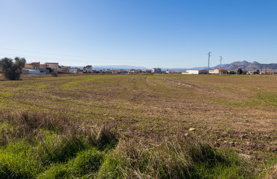 Venta - Fincas y solares - Pulianas - CAMINO HUERTA SAN ANTON