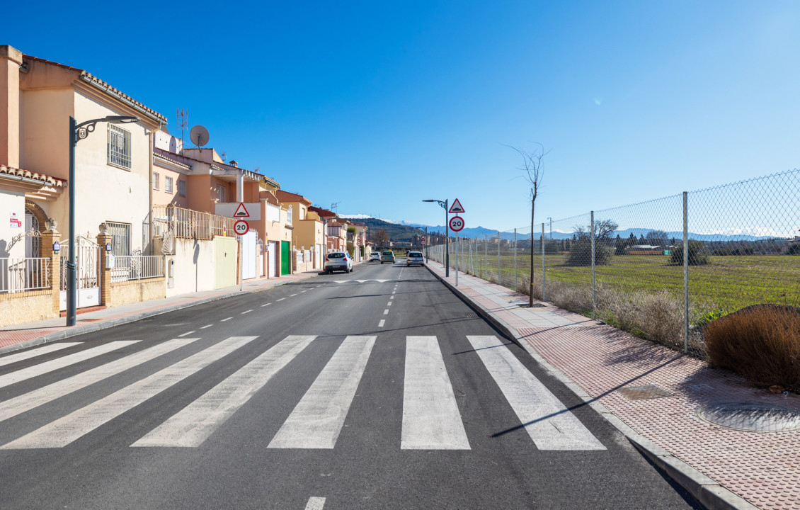 Venta - Fincas y solares - Pulianas - CAMINO HUERTA SAN ANTON