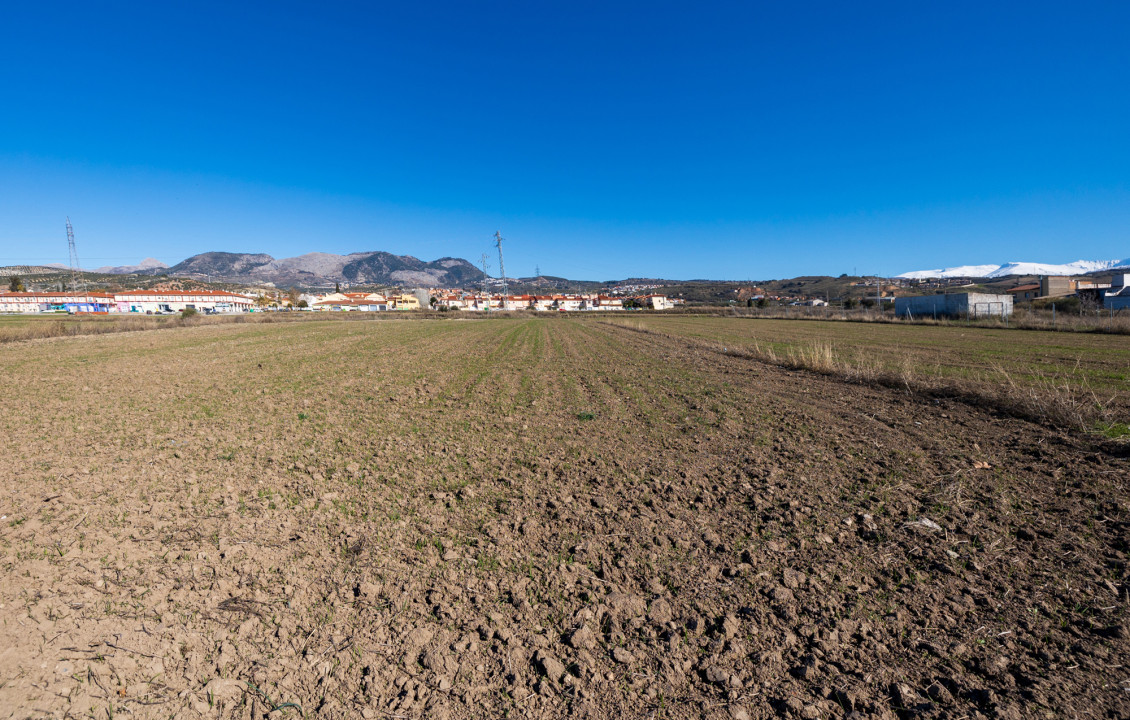 Venta - Fincas y solares - Pulianas - CAMINO HUERTA SAN ANTON