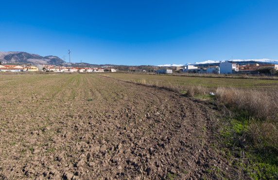 Venta - Fincas y solares - Pulianas - CAMINO HUERTA SAN ANTON