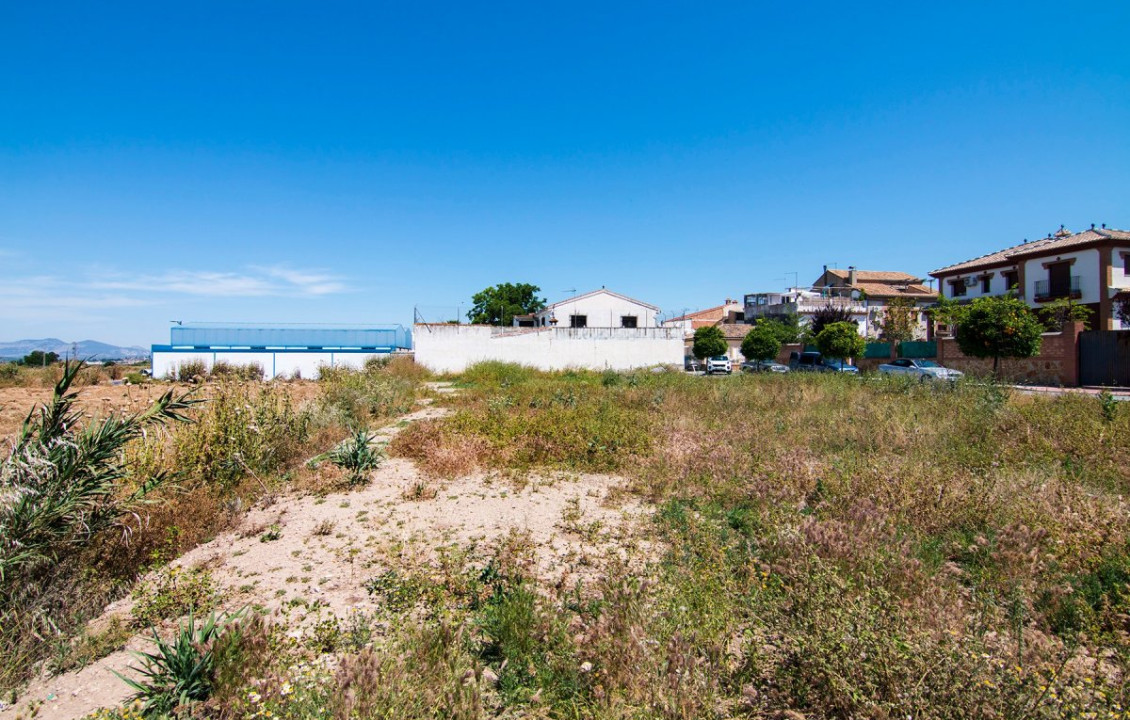 Venta - Fincas y solares - Pulianas - Barrio del Secadero