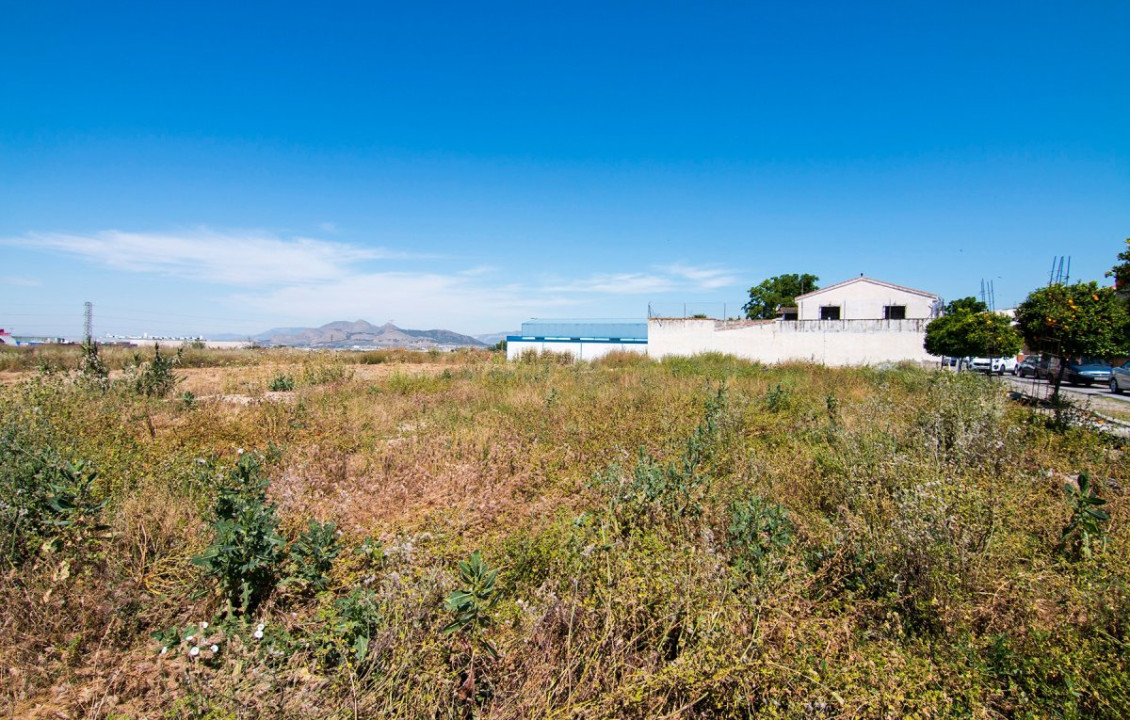 Venta - Fincas y solares - Pulianas - Barrio del Secadero