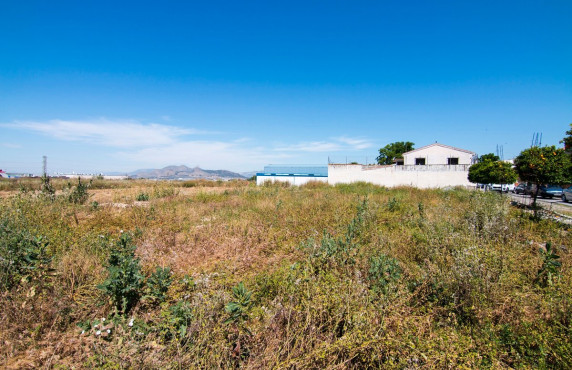 Venta - Fincas y solares - Pulianas - Barrio del Secadero