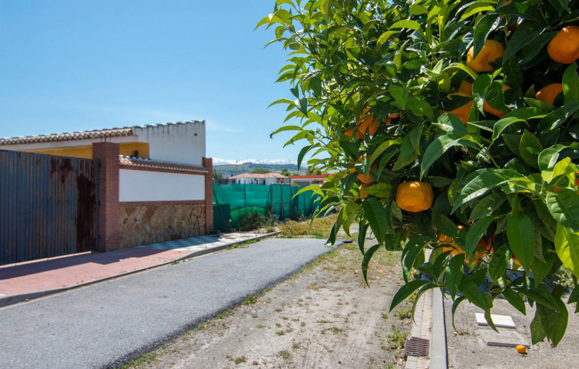 Venta - Fincas y solares - Pulianas - Barrio del Secadero