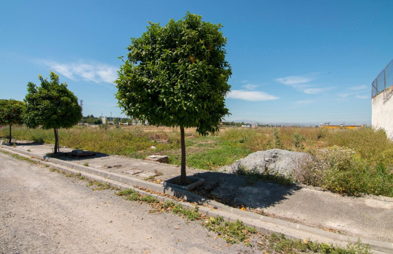 Venta - Fincas y solares - Pulianas - Barrio del Secadero