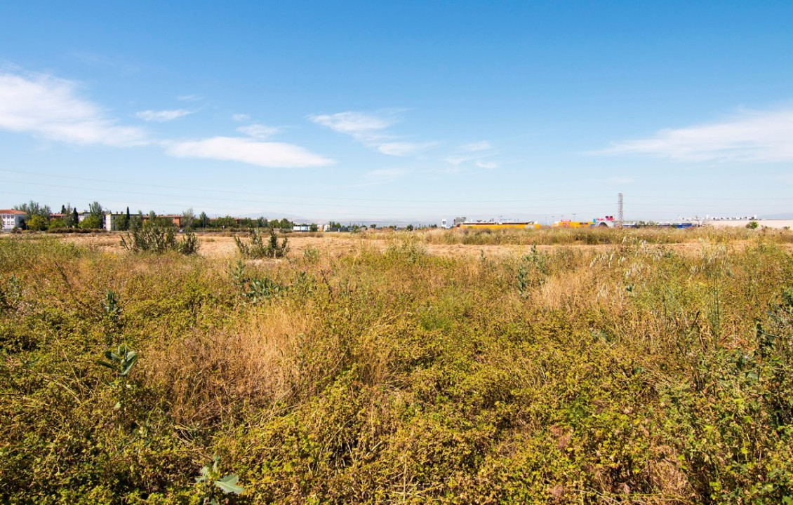 Venta - Fincas y solares - Pulianas - Barrio del Secadero