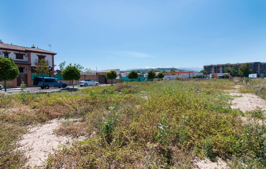 Venta - Fincas y solares - Pulianas - Barrio del Secadero