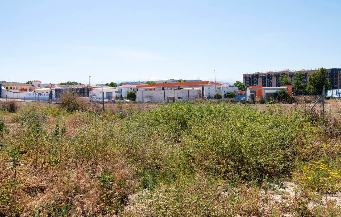 Venta - Fincas y solares - Pulianas - Barrio del Secadero