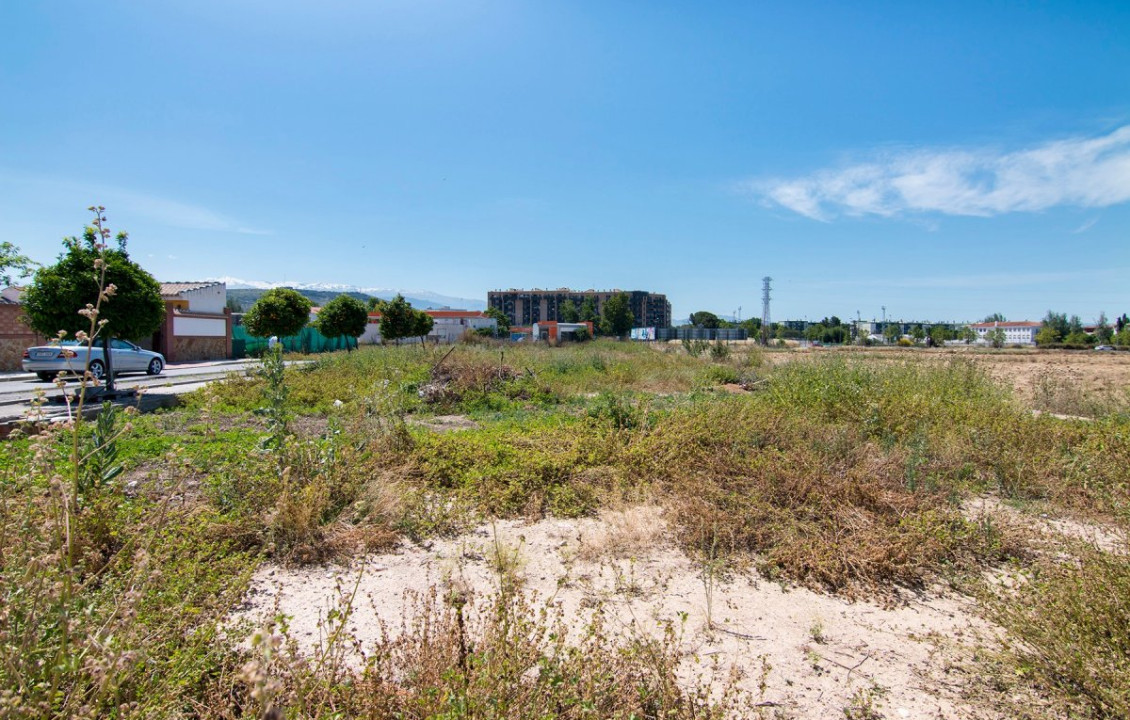 Venta - Fincas y solares - Pulianas - Barrio del Secadero