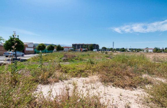 Venta - Fincas y solares - Pulianas - Barrio del Secadero