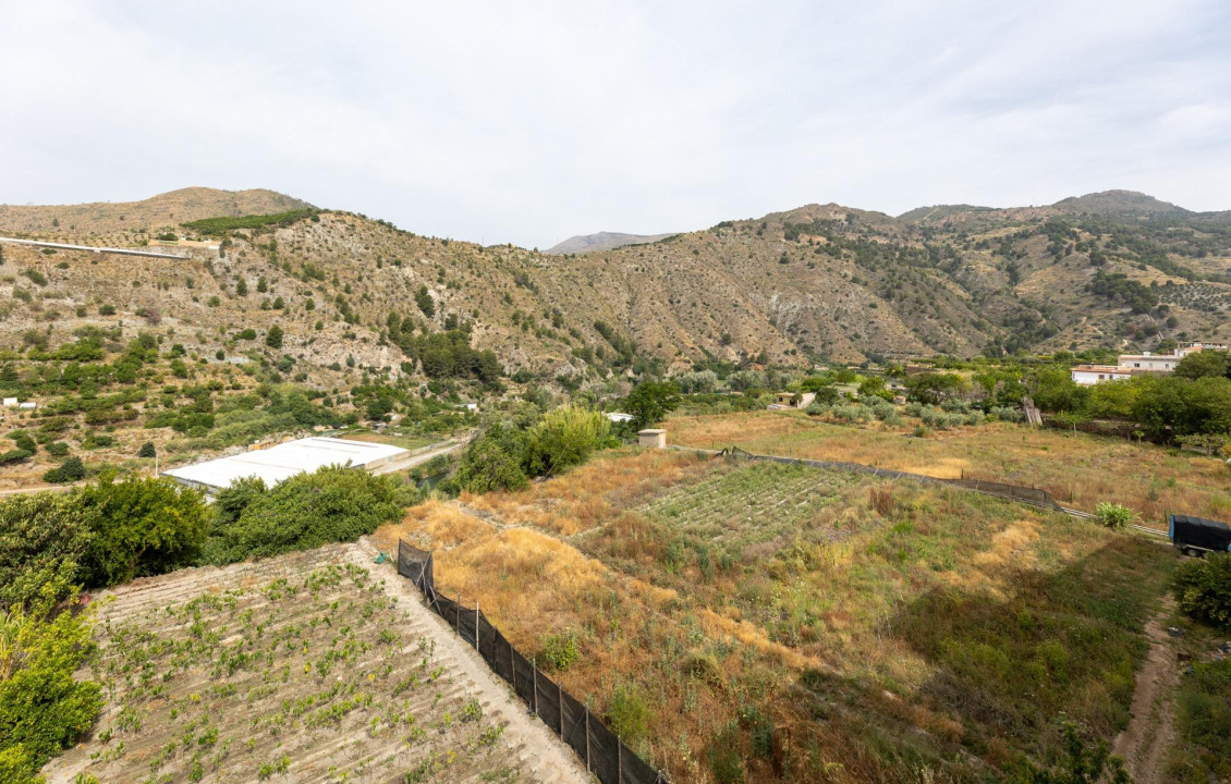 Venta - Casas o chalets - Vélez de Benaudalla - C. la Palma, 16