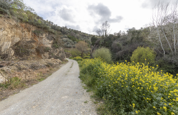 Venta - Casas o chalets - El Valle - Poligono 3, Parcela 155